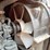 #300-•-2022-jlg-rt-2669-scissors-lift-(wautoma,-wi)-image-18