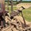 farmall-f-20-image-74