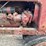 farmall-h-image-30