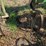 brillion-8-x-36”-row-cultivator-image-29