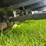 tri-axle-skeleton-trailer-image-8