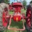farmall-f-14-image-36
