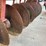 kewanee-1010-image-8
