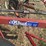 sitrex-wheel-rake-image-13