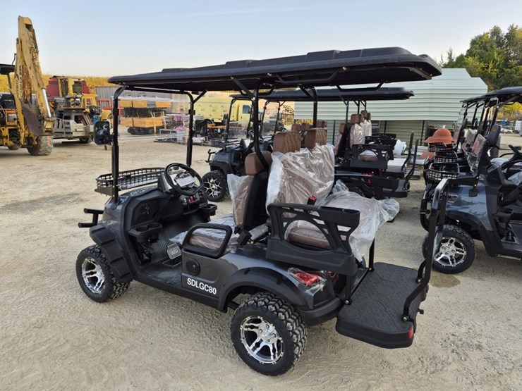 sdlanch-4-passenger-golf-cart-image-6