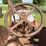 mccormick-deering-10-20-image-55
