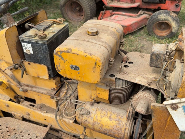 international-cub-image-18