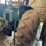 john-deere-4020-image-5