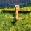 woods-rb72-image-1