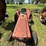 yanmar-ym226-image-21