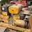 international-cub-image-19