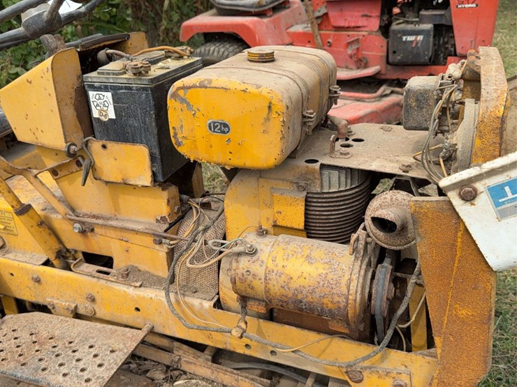 international-cub-image-19