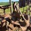 farmall-f-12-image-17
