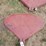 fenders-image-1