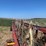 sitrex-wheel-rake-image-11