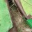 john-deere-653a-image-9