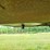 2011-homemade-20-image-12
