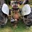 ford-8n-image-8