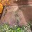 #1146-•-front-loader-bucket-attachment-image-11
