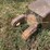large-roller-image-9