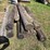 wood-fence-posts-image-3