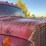 international-loadstar-image-37