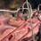 farmall-560-image-50