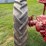 farmall-f-14-image-30