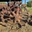 farmall-f-12-image-19