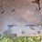 #1148-•-front-loader-bucket-attachment-image-14