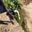 john-deere-44-image-15