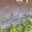 #1148-•-front-loader-bucket-attachment-image-15
