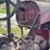 farmall-f-20-image-32