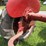 farmall-b-image-26
