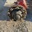 axle-image-4