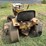 international-cub-image-3