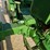 john-deere-50-image-35