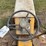 international-cub-image-12