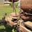 farmall-f-14-image-47