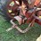 farmall-400-diesel-tractor-for-parts-image-6