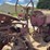 farmall-f-20-image-31