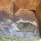 #1149-•-front-loader-bucket-attachment-image-12