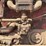 farmall-f-20-image-60