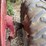 farmall-a-image-9