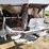 wilmar-6-ton-tandem-axle-lime/fertilizer-spreader-image-22
