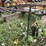 #1294-•-tracks-and-truck-rack-frame-image-6