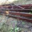 #1330-•-steel-bar-joists-image-7