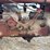 farmall-h-image-25