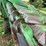 john-deere-643-image-21
