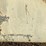 5ft-sweeper-attachment,-image-3